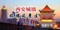 性爱爽片中国陕西-西安城墙旅游风景区